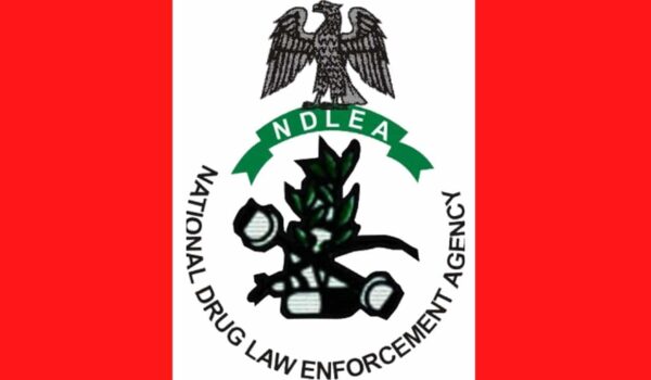 NDLEA Seizes Over 1.3 Tonnes of Drugs in Major Adamawa Bust