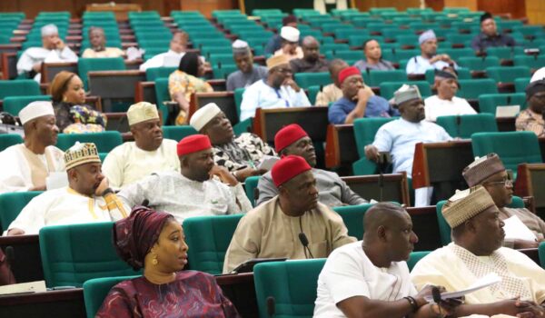 Reps Minority Caucus Calls For Suspension of Tax Reforms Implementation