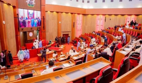 National Assembly Commences Internal Review of Disputed Tax Laws