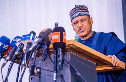 FG Denies Plans to Target Opposition, Emphasizes Rule of Law