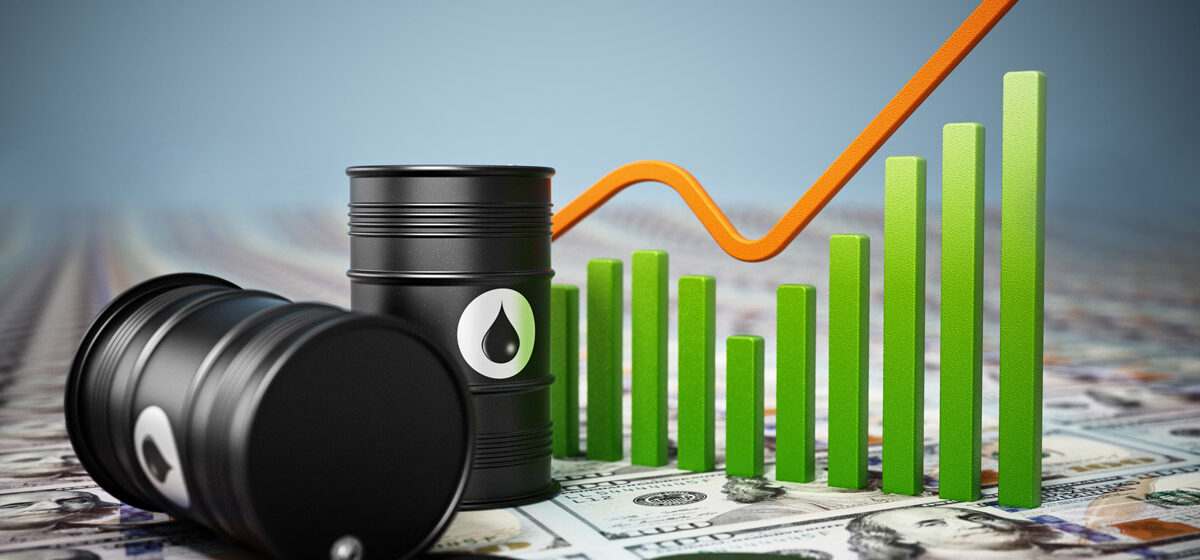 Rising Cost of Fuel in Nigeria: A Burden Too Heavy for Citizens