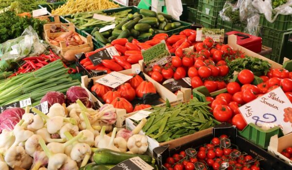 Food Security: How Southwest States are Developing Agriculture
